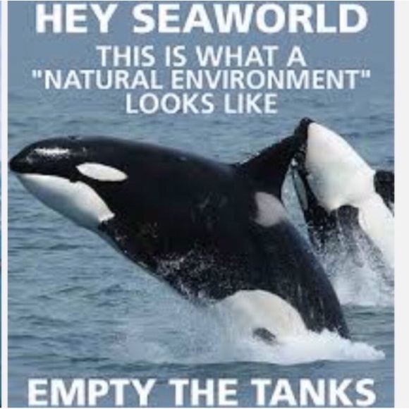 Angel Other - REST IN PEACE TILIKUM😇